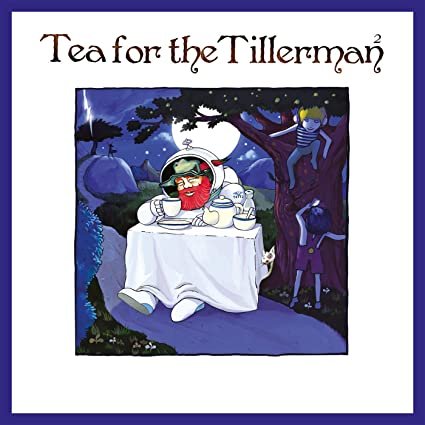 Tea For the Tillerman 2