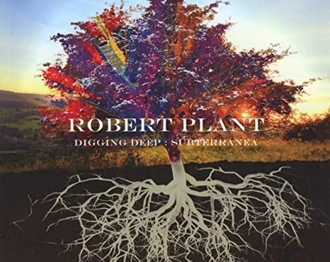 Digging Deep: Subterranea